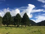 高原草原风光