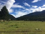 高原草原风光