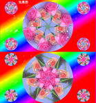 粉红玫瑰花万花筒视频素材