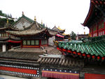 塔尔寺