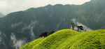 武功山