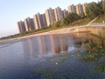 河岸