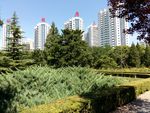 小区景观