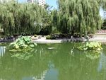 小区景观