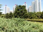 小区景观