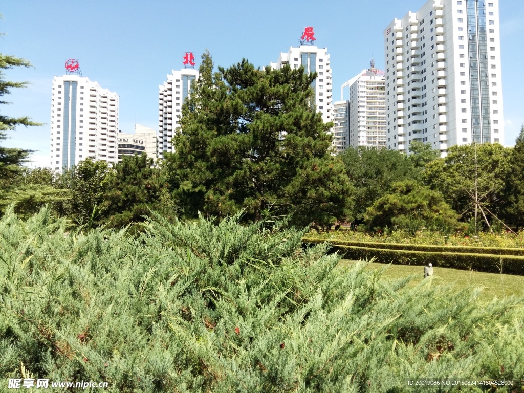小区景观