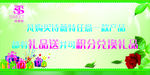 诗薇特海报