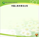 中国人寿 空板展板  共青支公