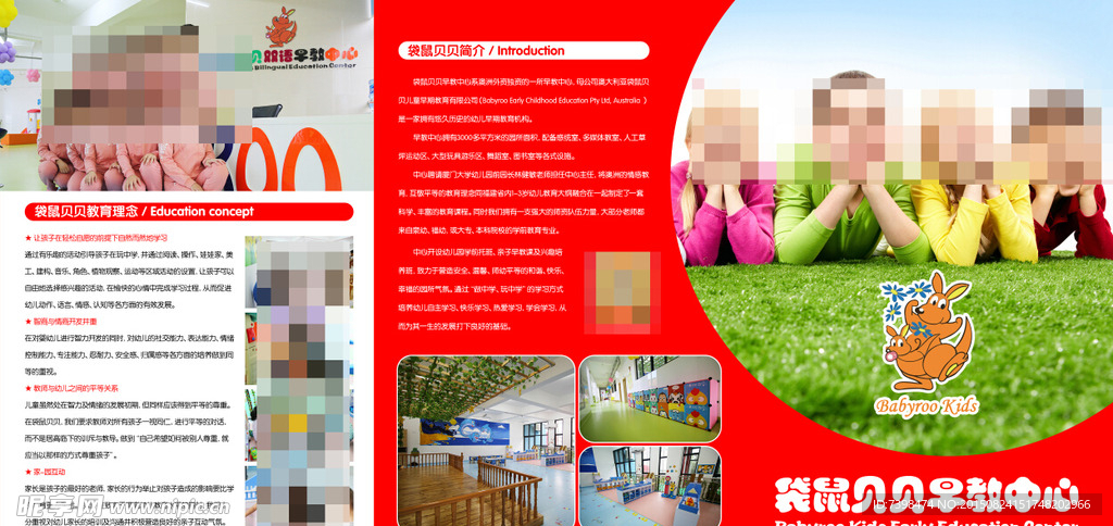 袋鼠贝贝