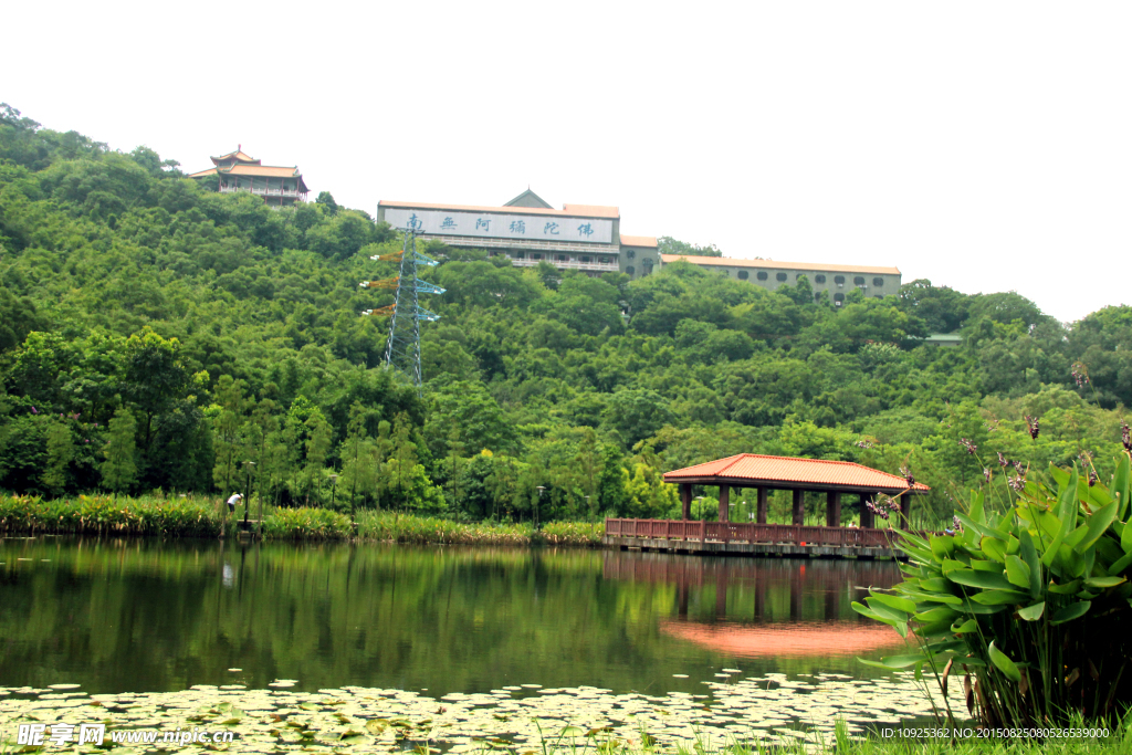 顺德风景