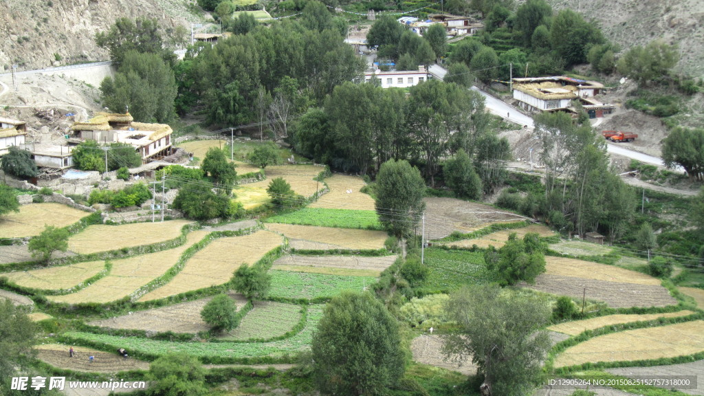 田地