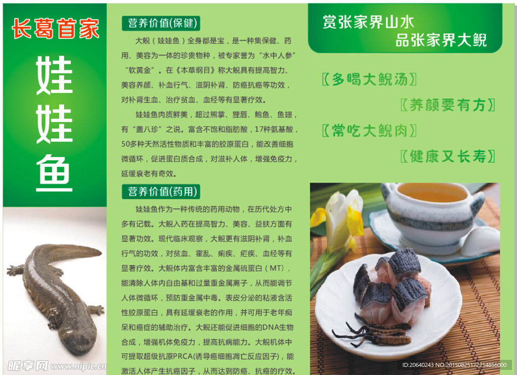 娃娃鱼