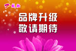 品牌升级