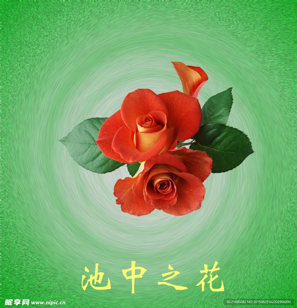 池中之花