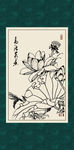 白描荷花