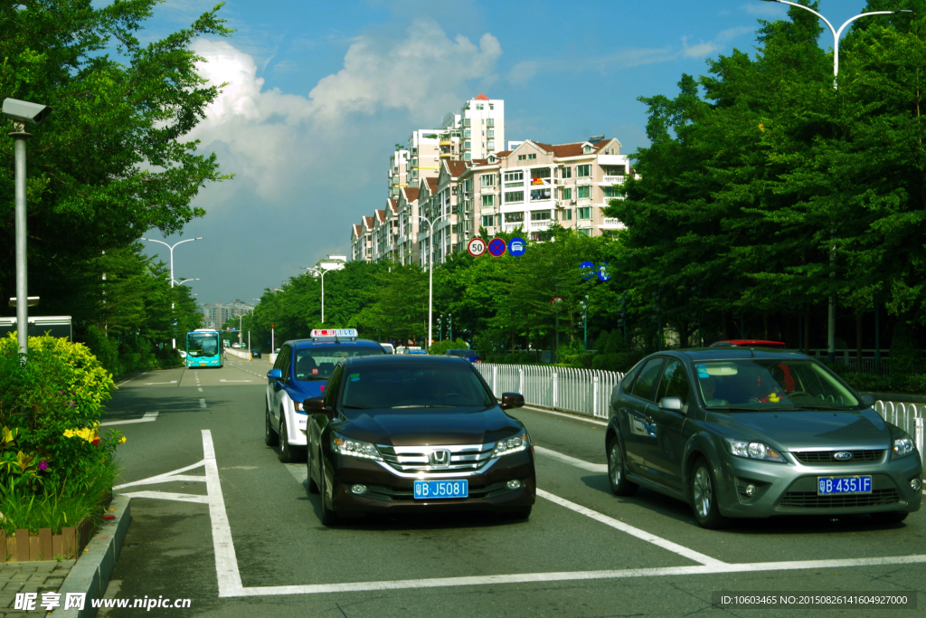 城市建筑 交通绿化