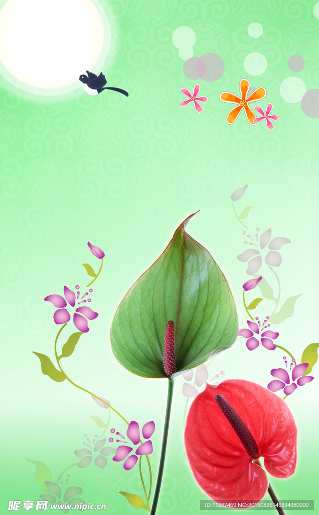 花卉