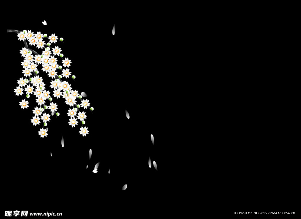 落花背景视频