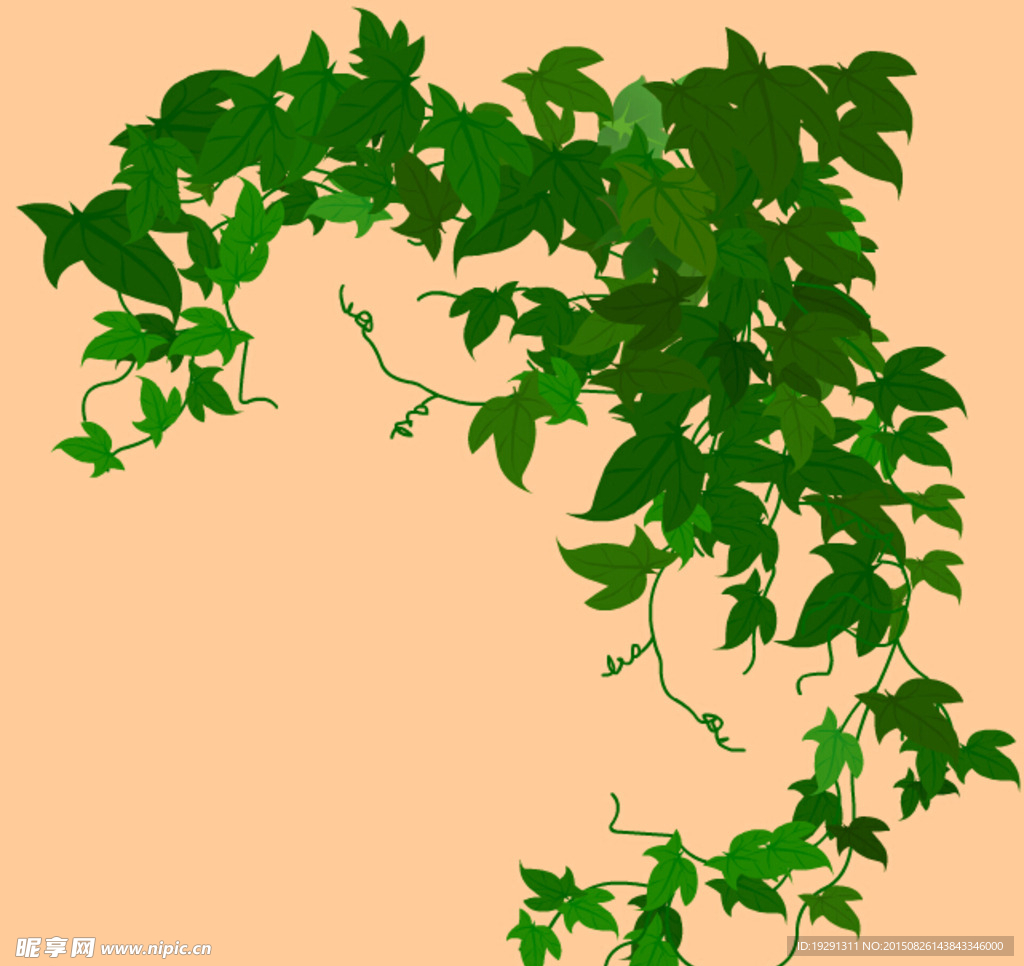 绿藤背景视频
