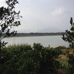 江水风景