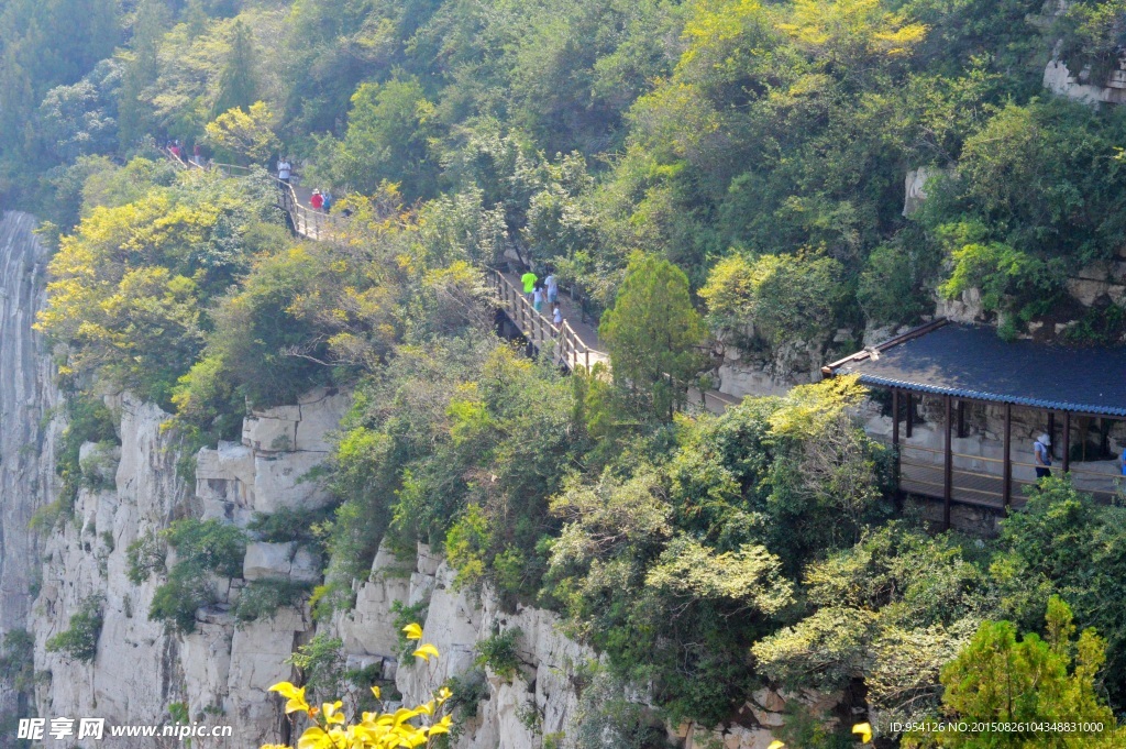 山中栈道