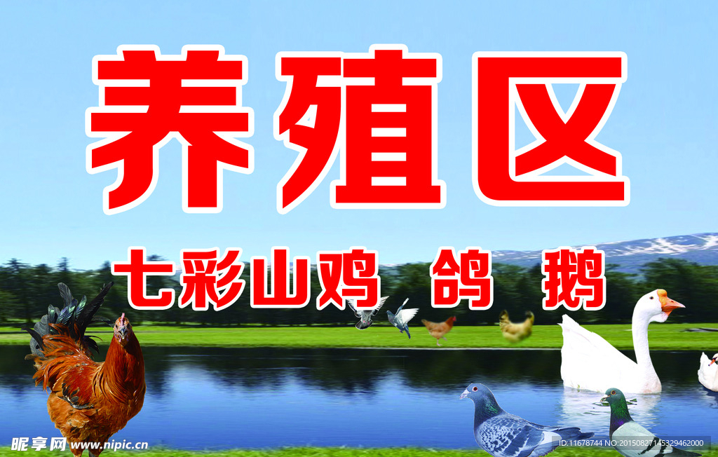 养殖区