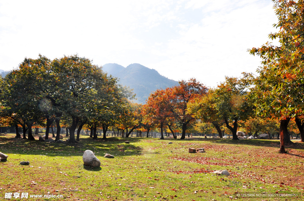 秦岭山草园区秋景图