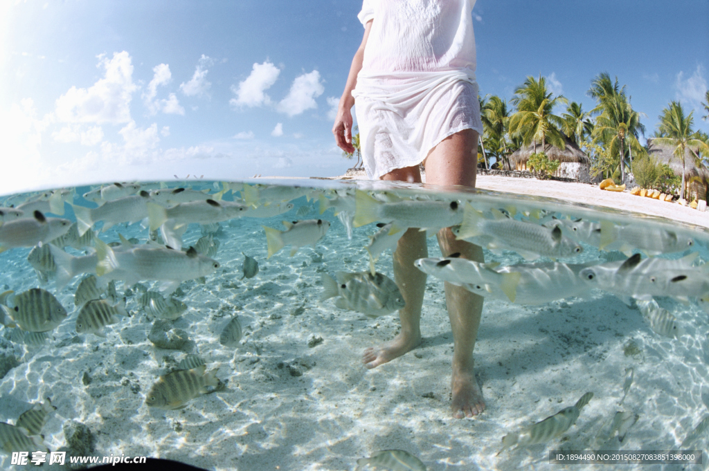海滩水下拍摄