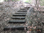 竹林小道