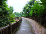 大熊猫基地