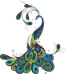 色彩 孔雀 时尚 潮流