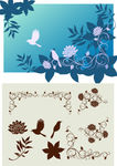 花纹