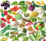 各种蔬菜PSD分层素材免费下载
