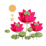 中秋-莲