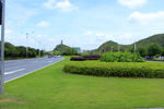 琴潭村公路绿化带草坪