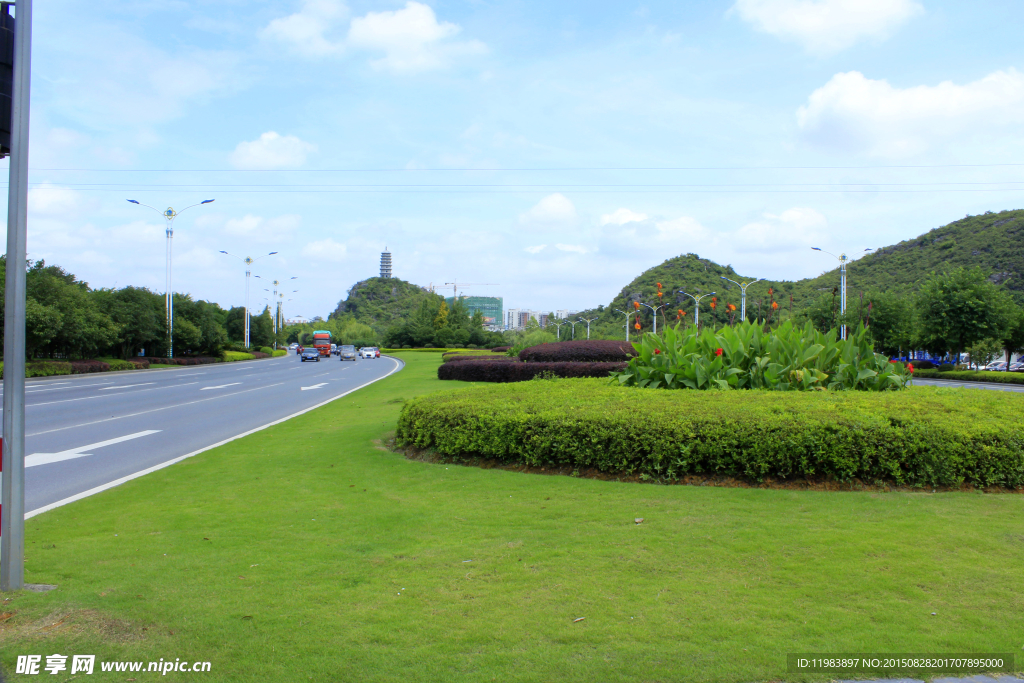 琴潭村公路绿化带草坪