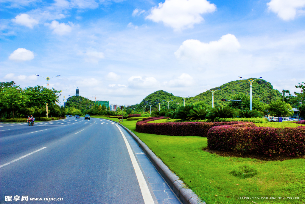 琴潭公路绿化带青草地