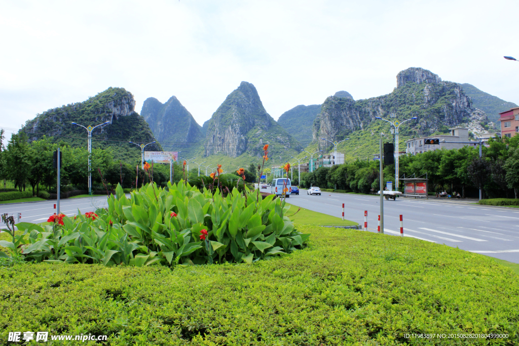琴潭公路沿途绿化带