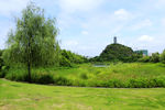 琴潭蓝天宝塔草地