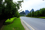 琴潭公路绿化
