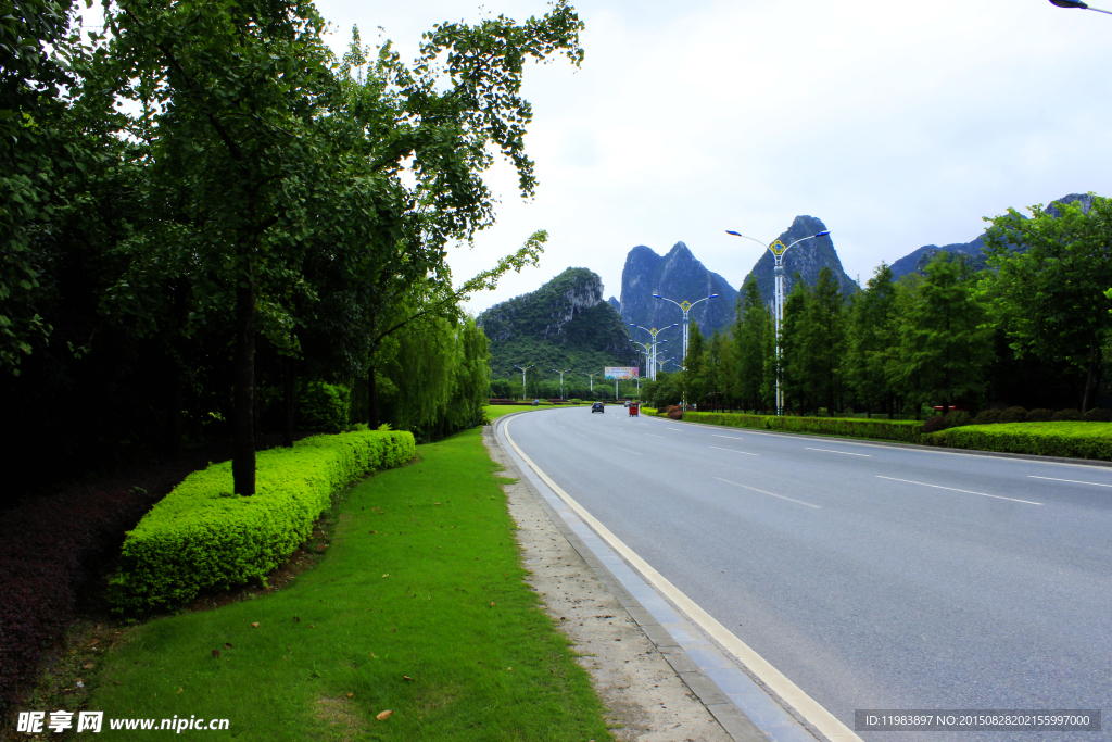 琴潭公路绿化