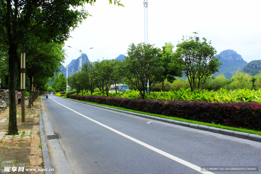 道路绿化带