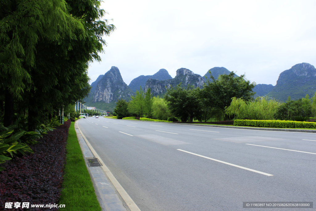 桂林公路绿化带