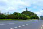 宝塔公路绿化带