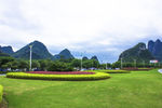 远山绿化带草地
