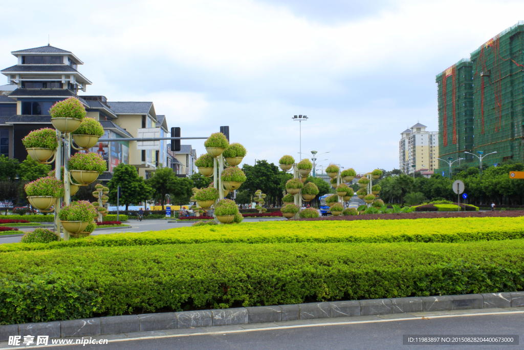 城区圆盘绿化带