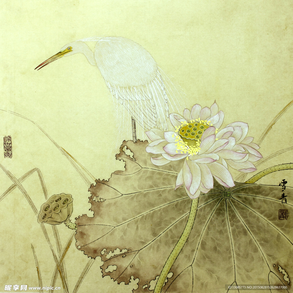 龚雪青高清花鸟工笔画