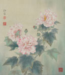 李科宏工笔芙蓉花开