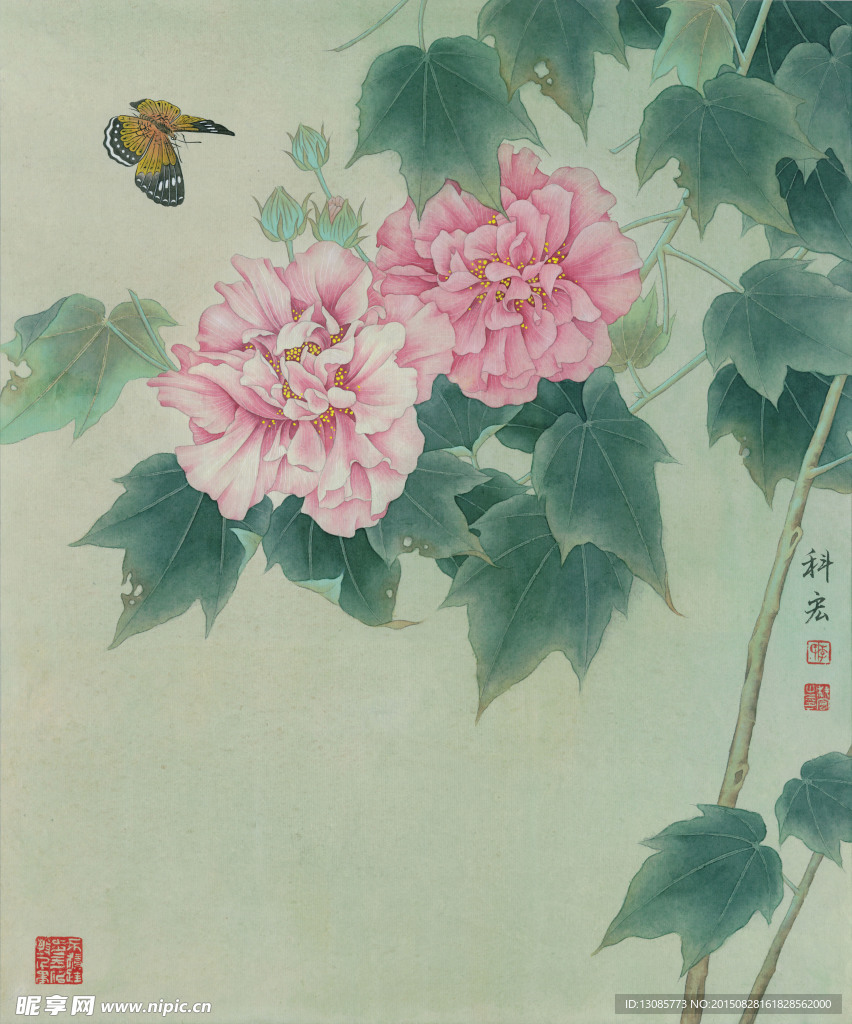 李科宏工笔芙蓉高清图娇艳芙蓉