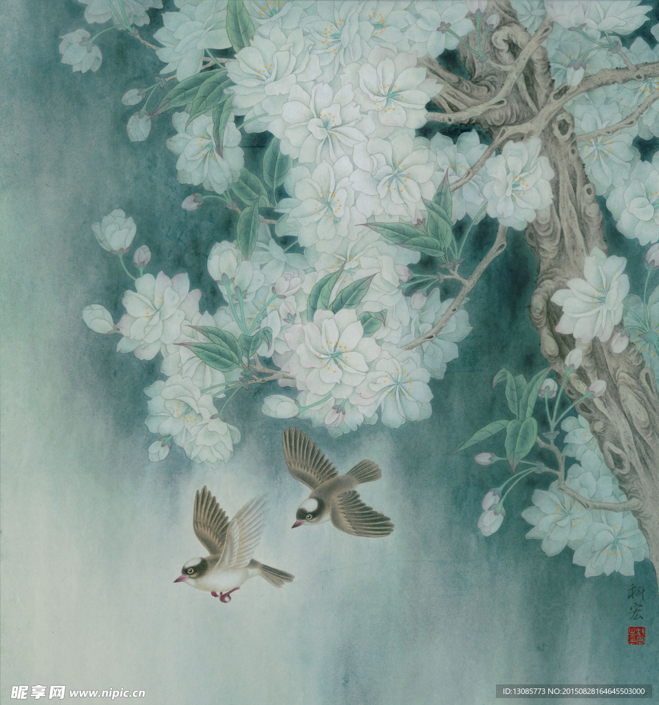 李科宏中国名花高清图樱花